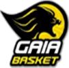 盖亚篮球俱乐部